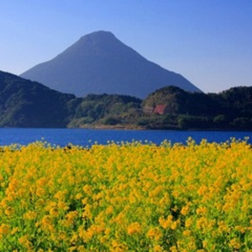 5,000年以上前に形成されたカルデラ湖で、その大きさは九州一♪