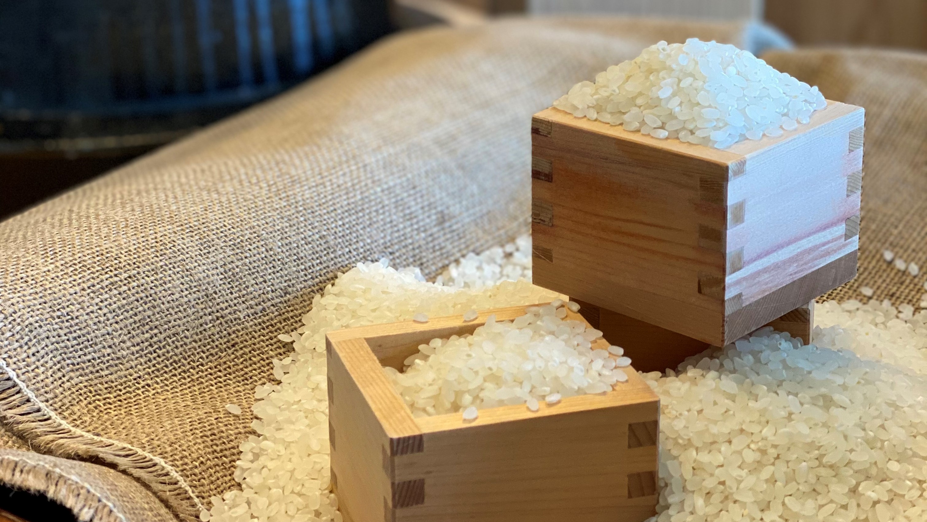【朝食一例】お米は鹿児島県産ひのひかり。羽釜炊きでご用意いたします。