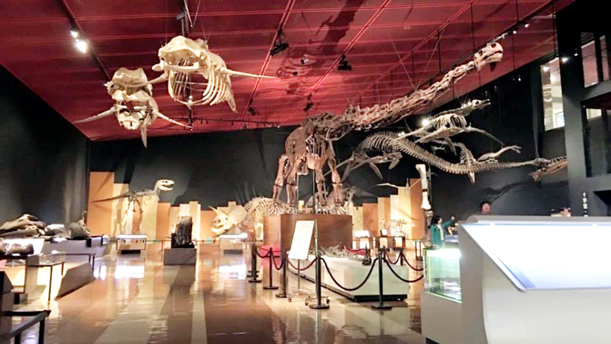 いわき駅前から車で約20分！恐竜の化石などが展示されています