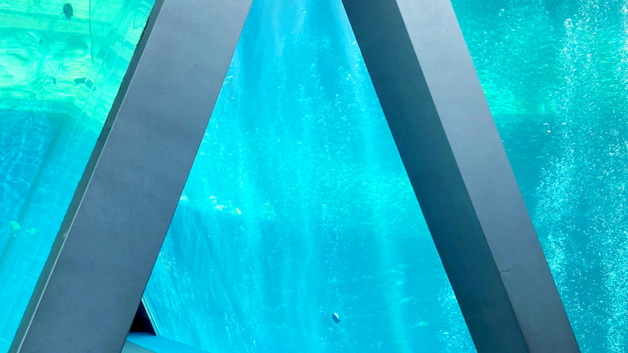 いわき駅前から車で約40分！いわき市唯一の環境水族館です