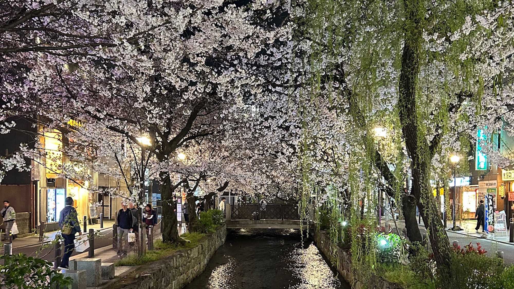 木屋町・祇園エリア