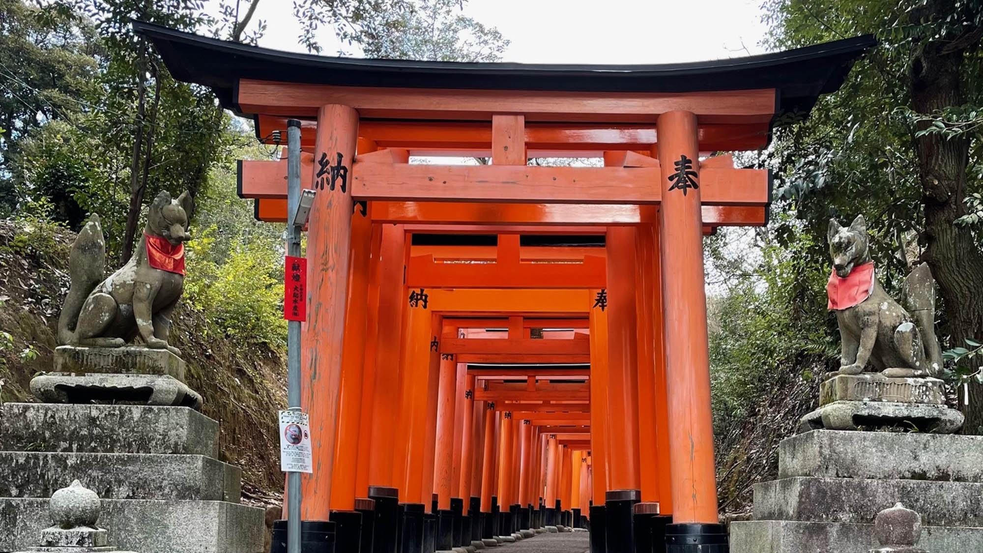 伏見稲荷大社