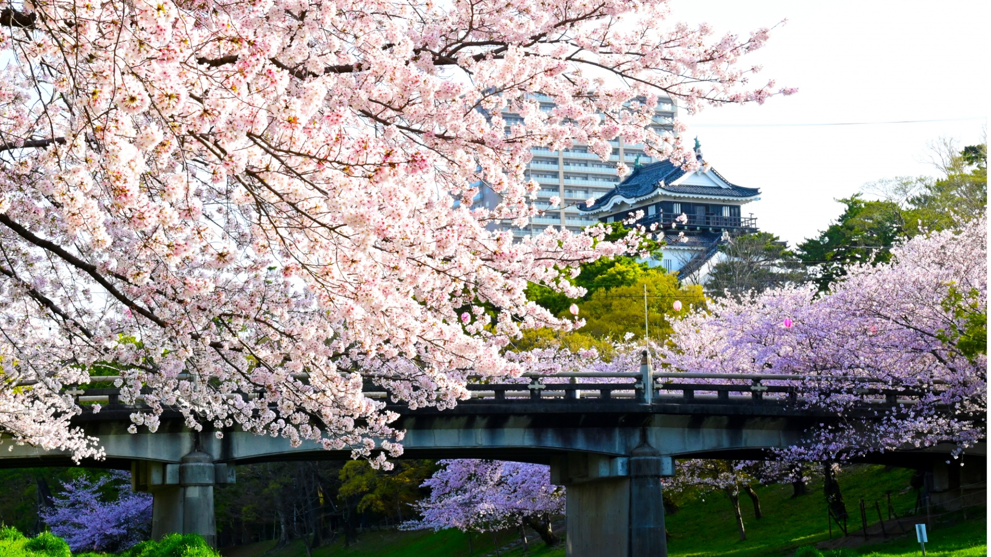 岡崎城