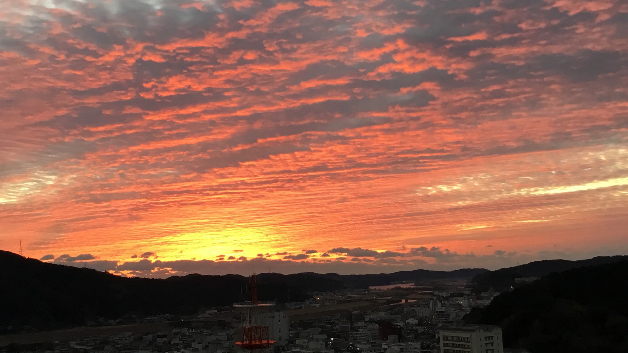 四万十のうまいもんを少しずつ〜小食の奥様も大満足 ★山川海の幸がこんなに沢山【大人気】めおと皿鉢Ｐ