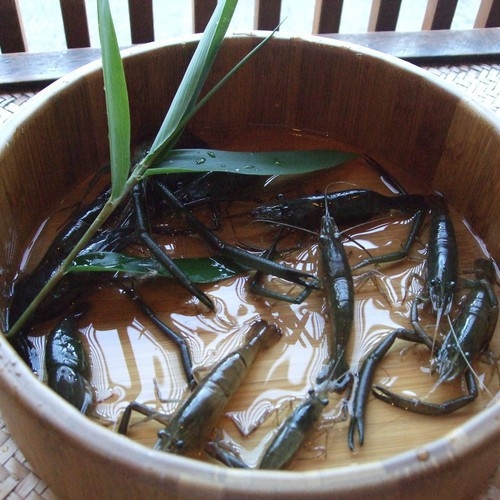 【四万十川バスを特別割引価格で！】四万十のうまいもんを少しずつ★小食の奥様も大満足★皿鉢料理プラン