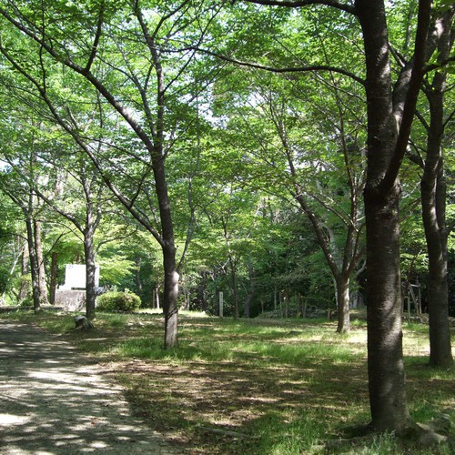 近隣の為松公園