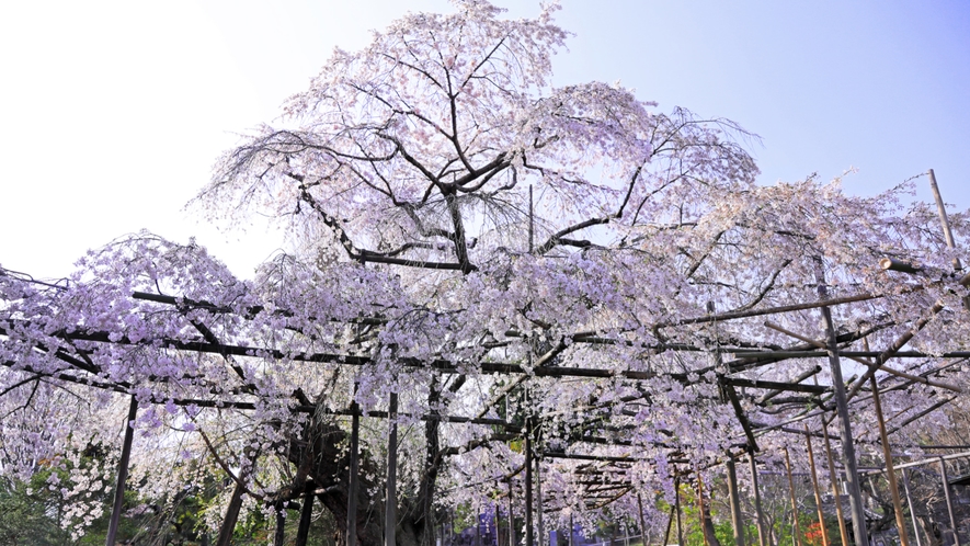 祥雲寺