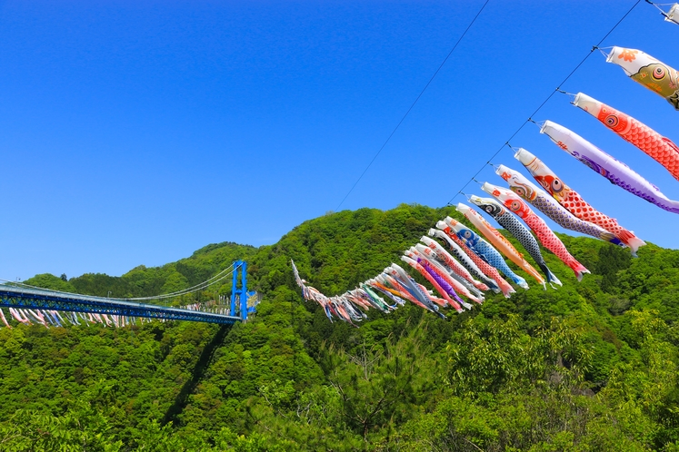 竜神大吊橋と鯉のぼり