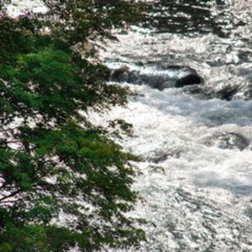 ◆風景◆狩野川