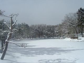 静まり返った冬のﾛﾏﾝﾁｯｸな散歩は、いかがでしょう？