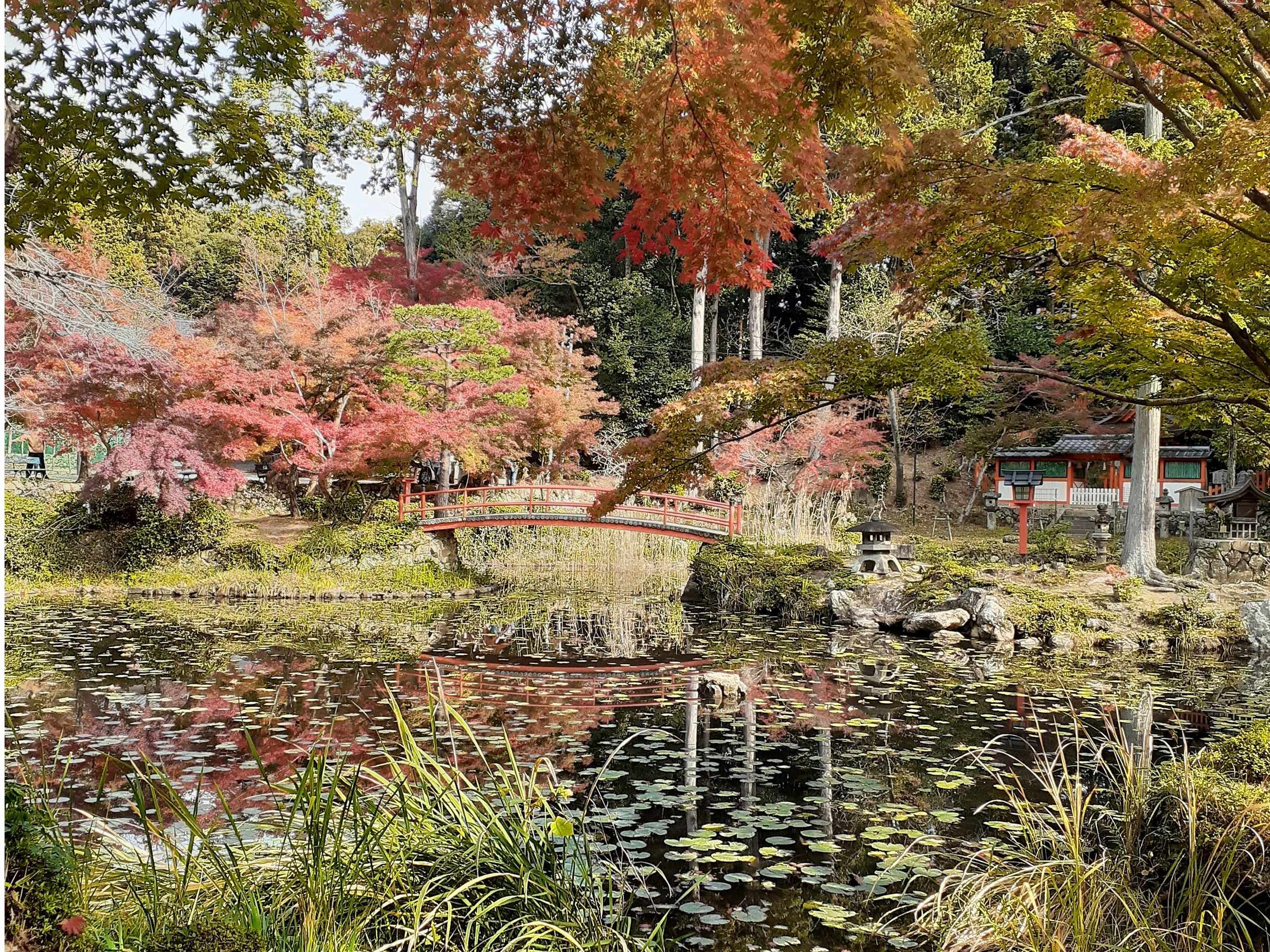 大原野神社1