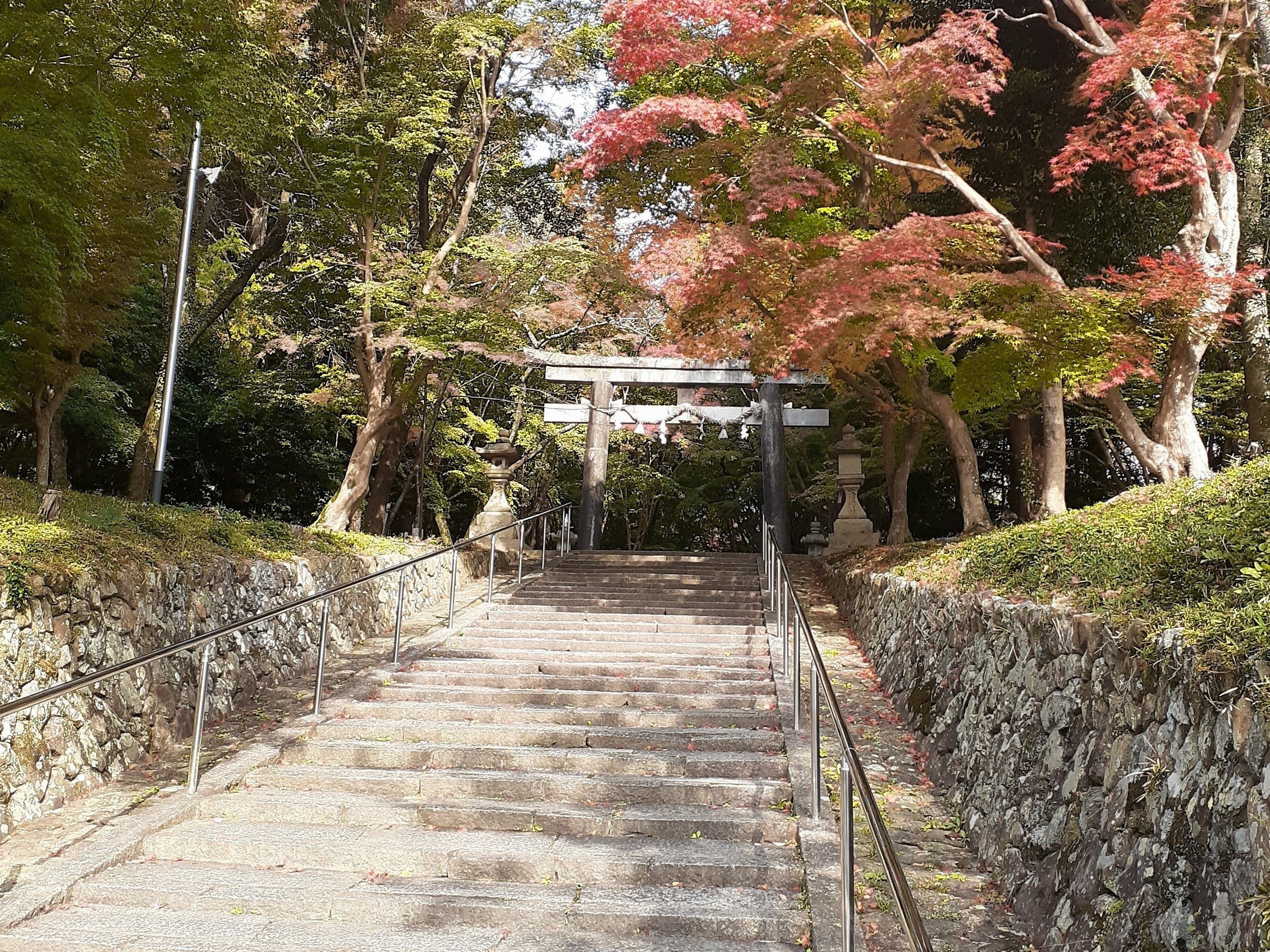 大原野神社3　秋