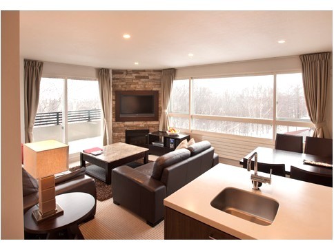 Apartment Living Room