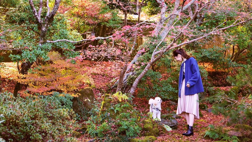 わんちゃんと一緒におこもりご宿泊プラン