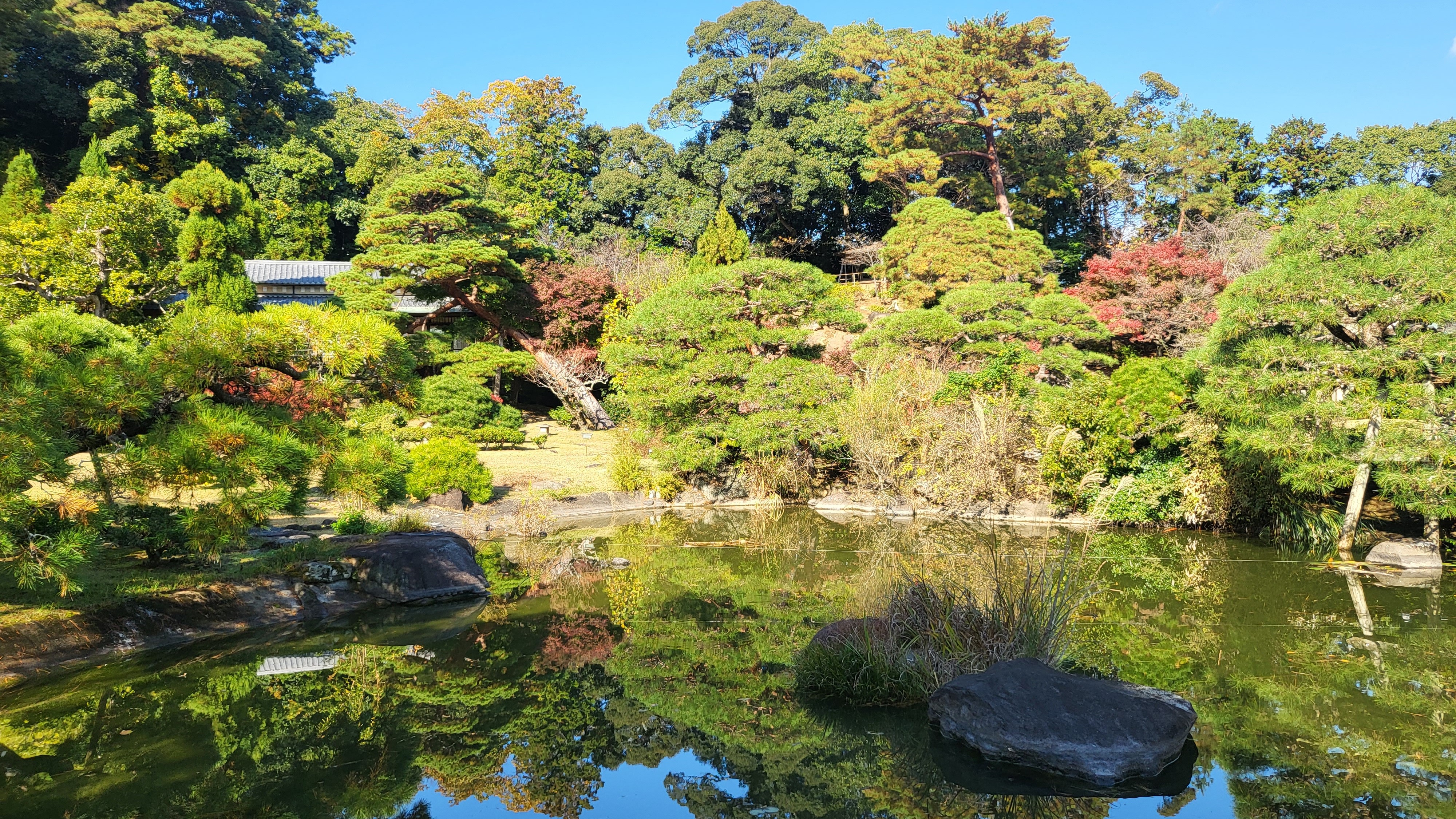 庭園（秋）