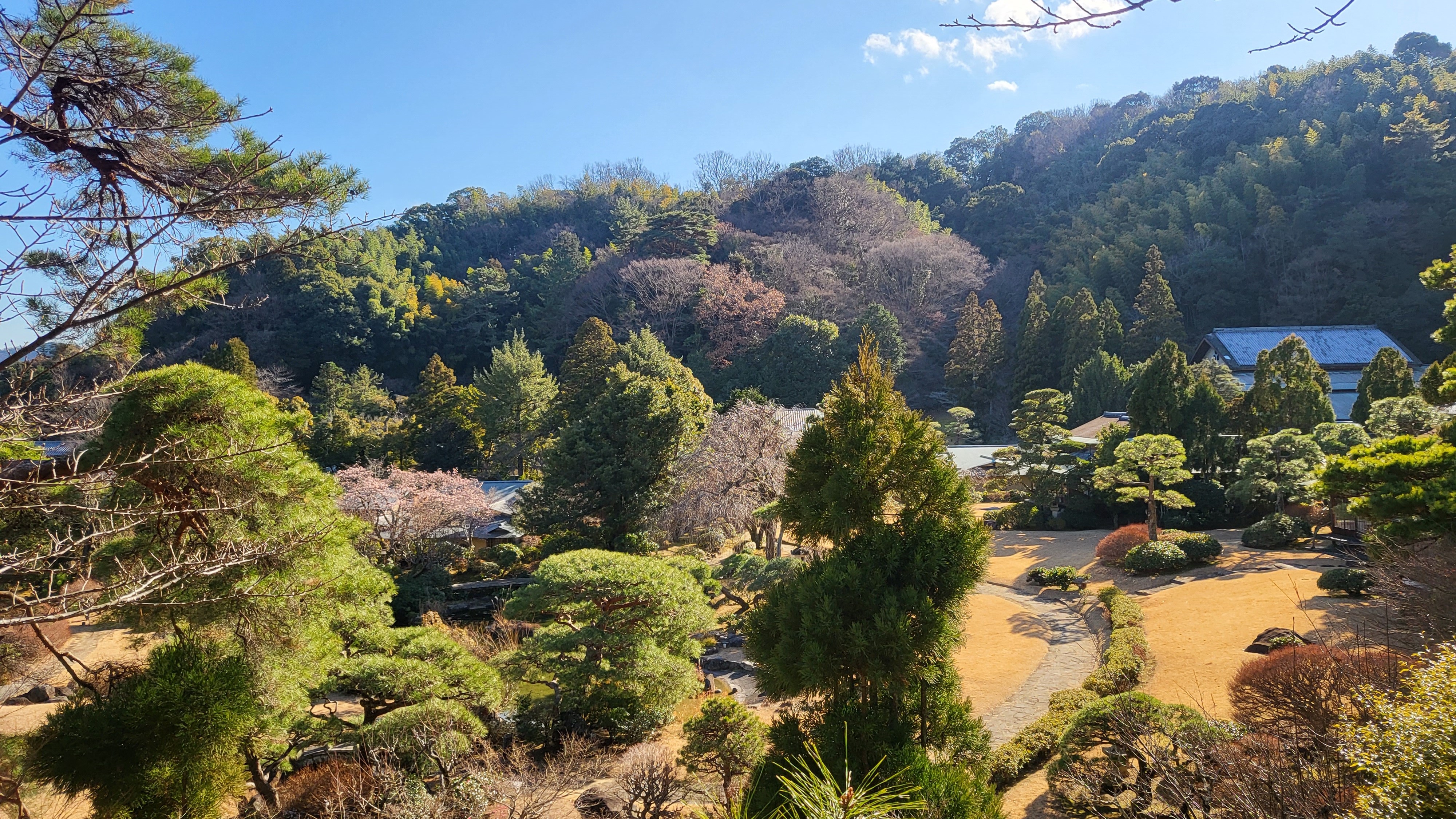 庭園（冬）