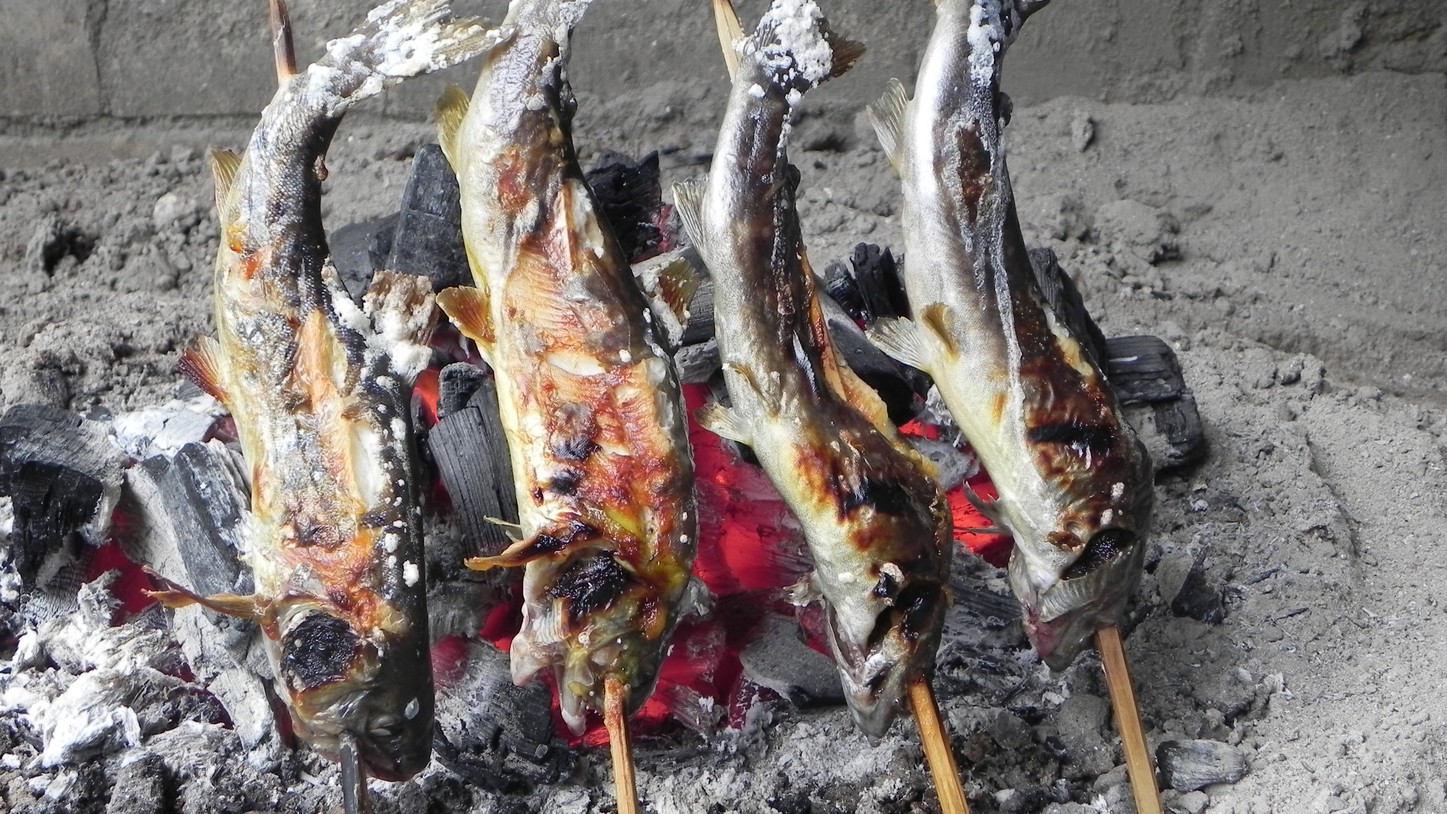 ◆夕朝食付お料理たっぷり全18品◆満足度NO.１！岩魚の刺身や山女の稚魚唐揚げも！