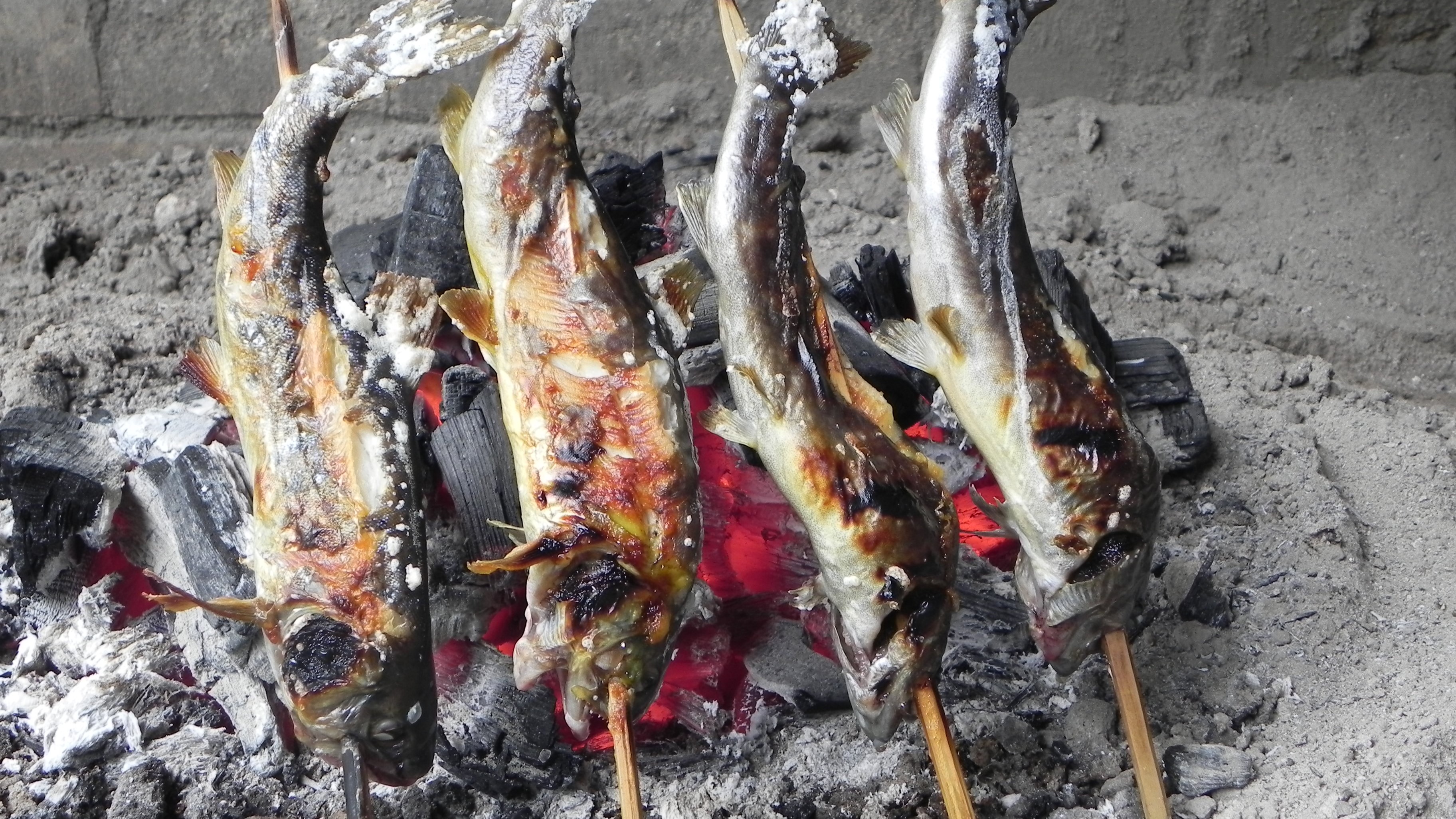 *【岩魚の塩焼き】自家製の炭火でじっくりと焼き上げる人気の塩焼き。一年を通してご提供しております。