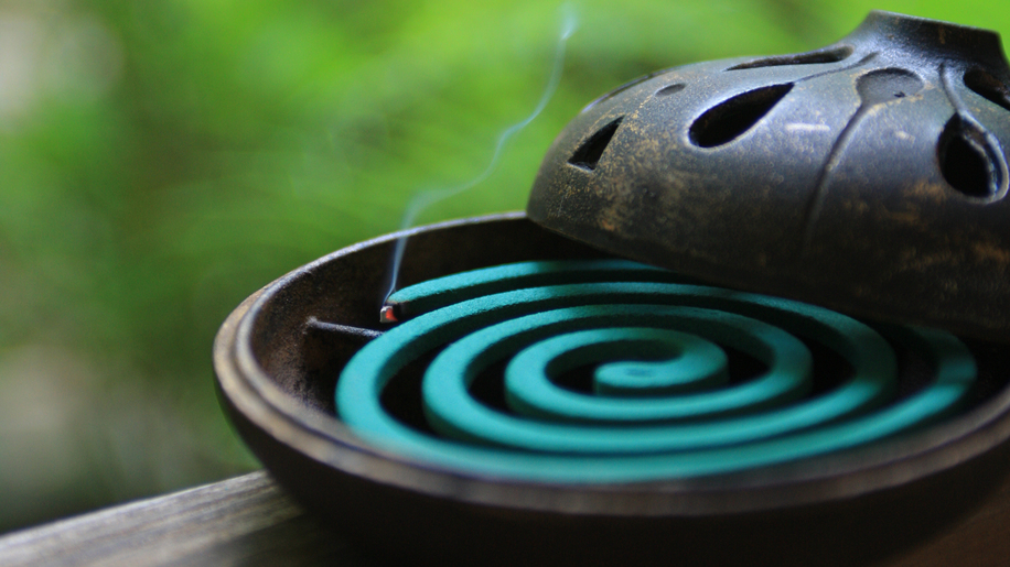 お一人様専用の本館和室　８帖＋踏込