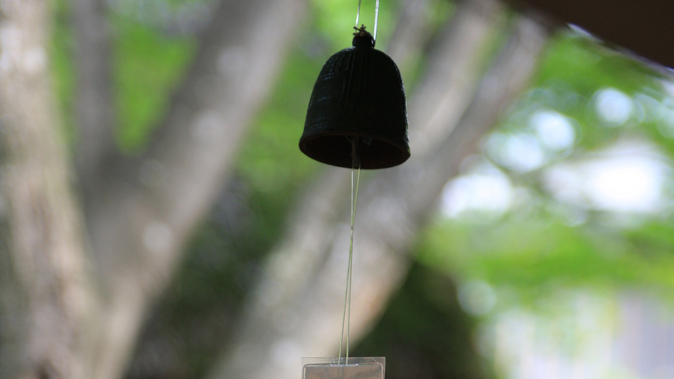 お一人様専用の本館和室　８帖＋踏込