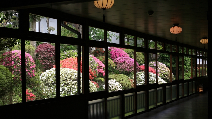 【4/25〜5/6 限定】1名様につき 館内利用券 2000円付　〜ゴールデンウィーク特別プラン〜