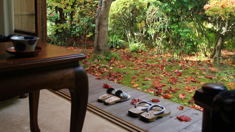天然温泉源泉かけ流し　広い湯舟の内風呂付き和室　離れ８３番
