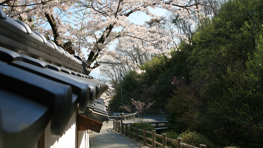 信州の青空と咲き乱れる桜に包まれる、登録有形文化財の宿　花屋