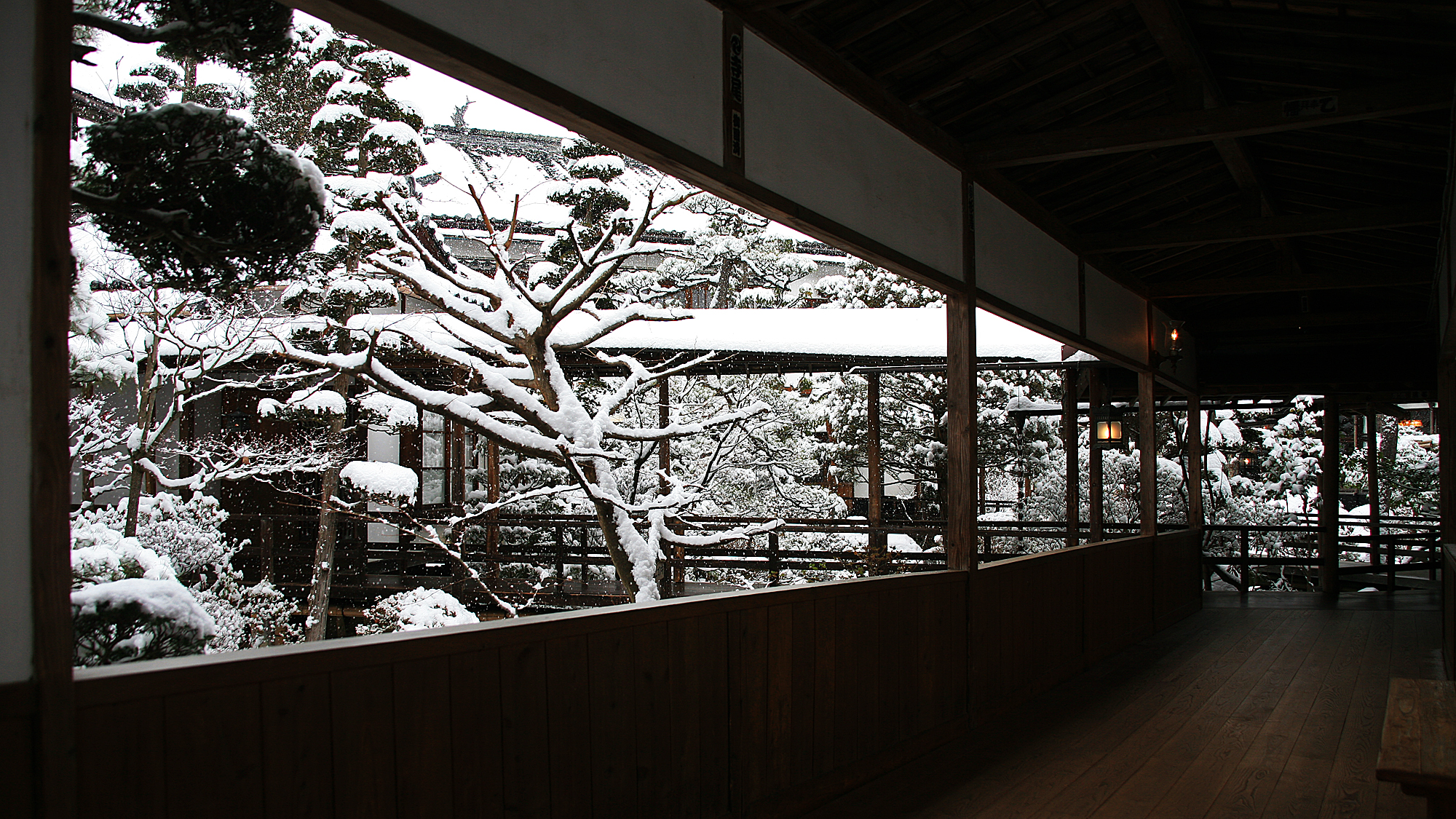 雪景色に包まれる花屋