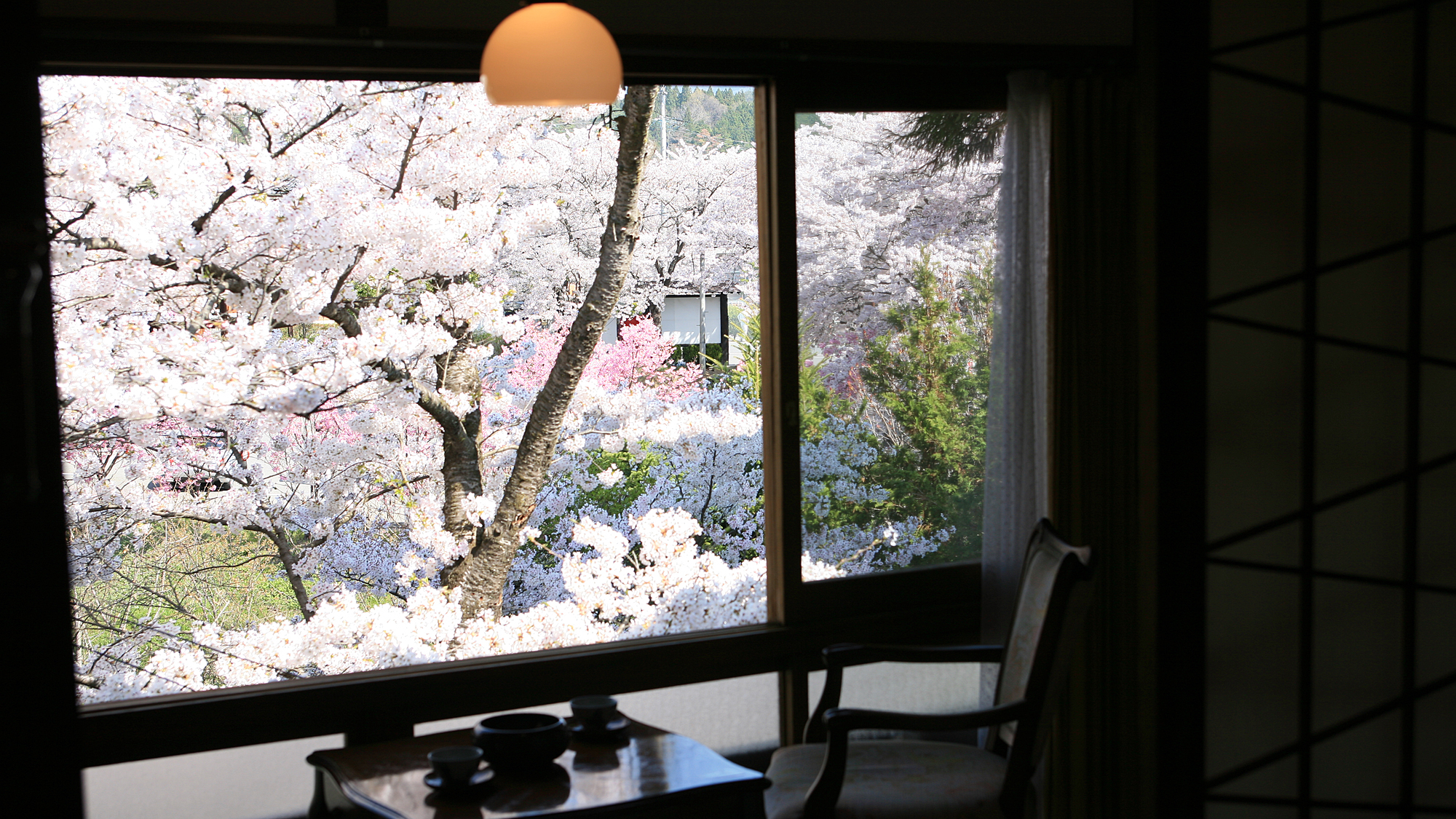 お部屋から眺める　桜の風景