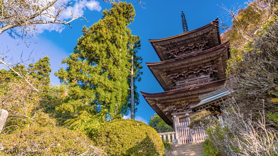 大法寺　（車で約15分）