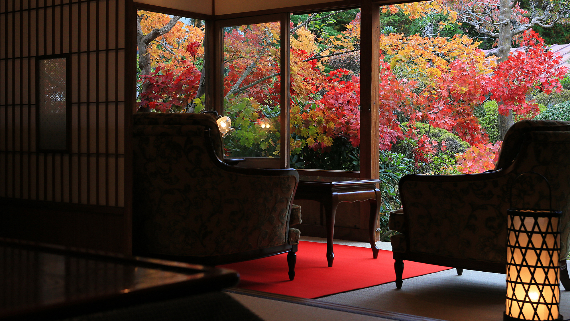 離れ81番は人気のお部屋。「紅葉が美しい」窓から眺める庭の風景が絶景のお部屋です。