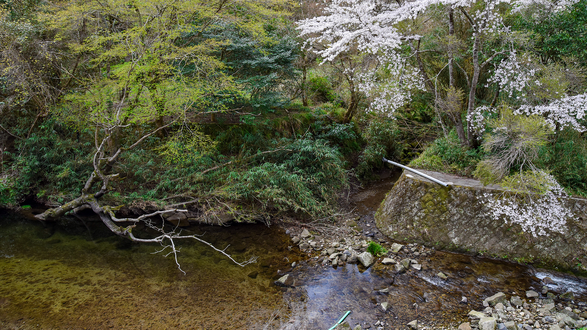 *【おまかせ和室】四季おりおりの自然の美しさは見飽きません