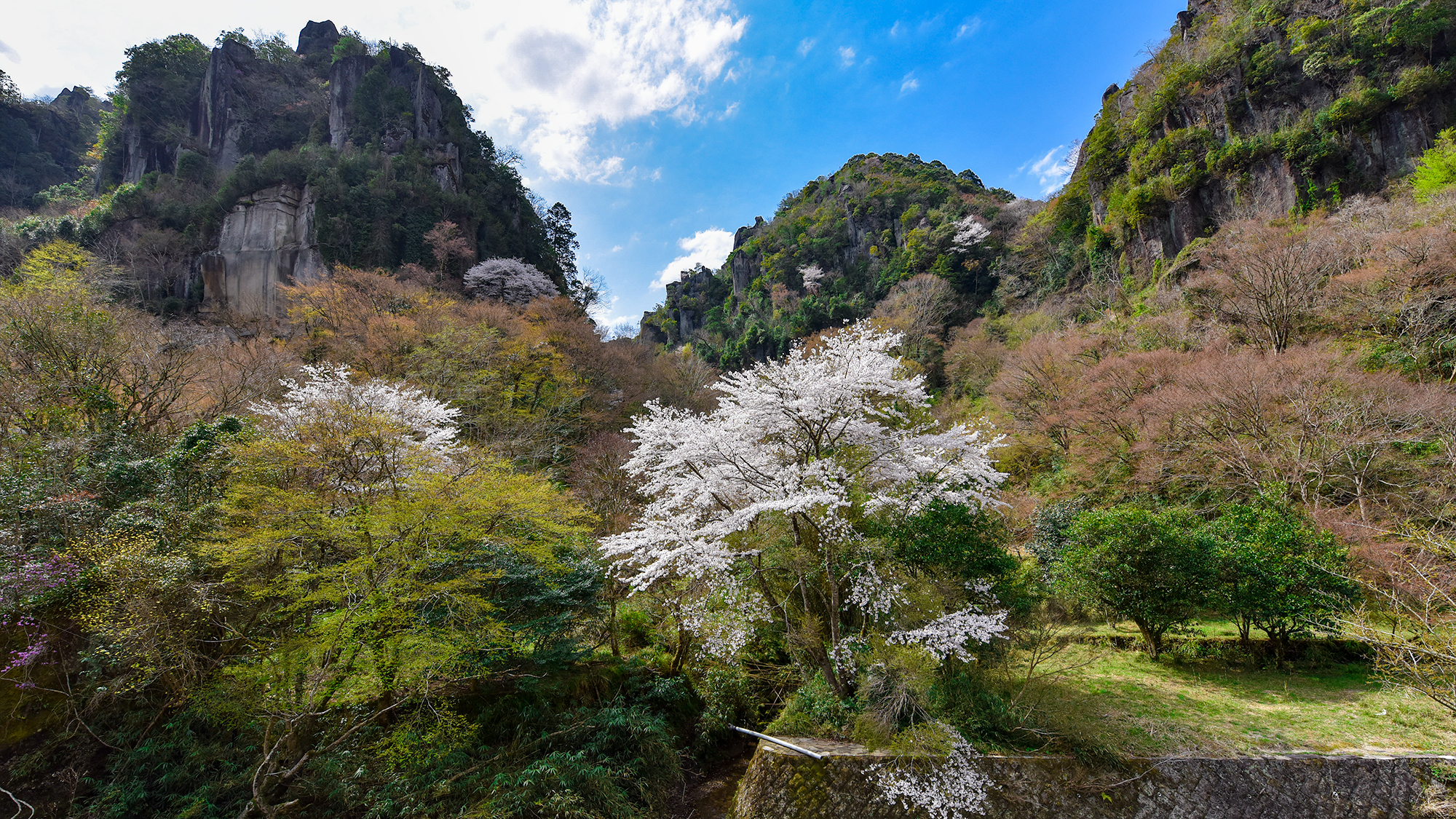 *【おまかせ和室】窓一面に広がる景色は何物にも代えがたい自然の贈物