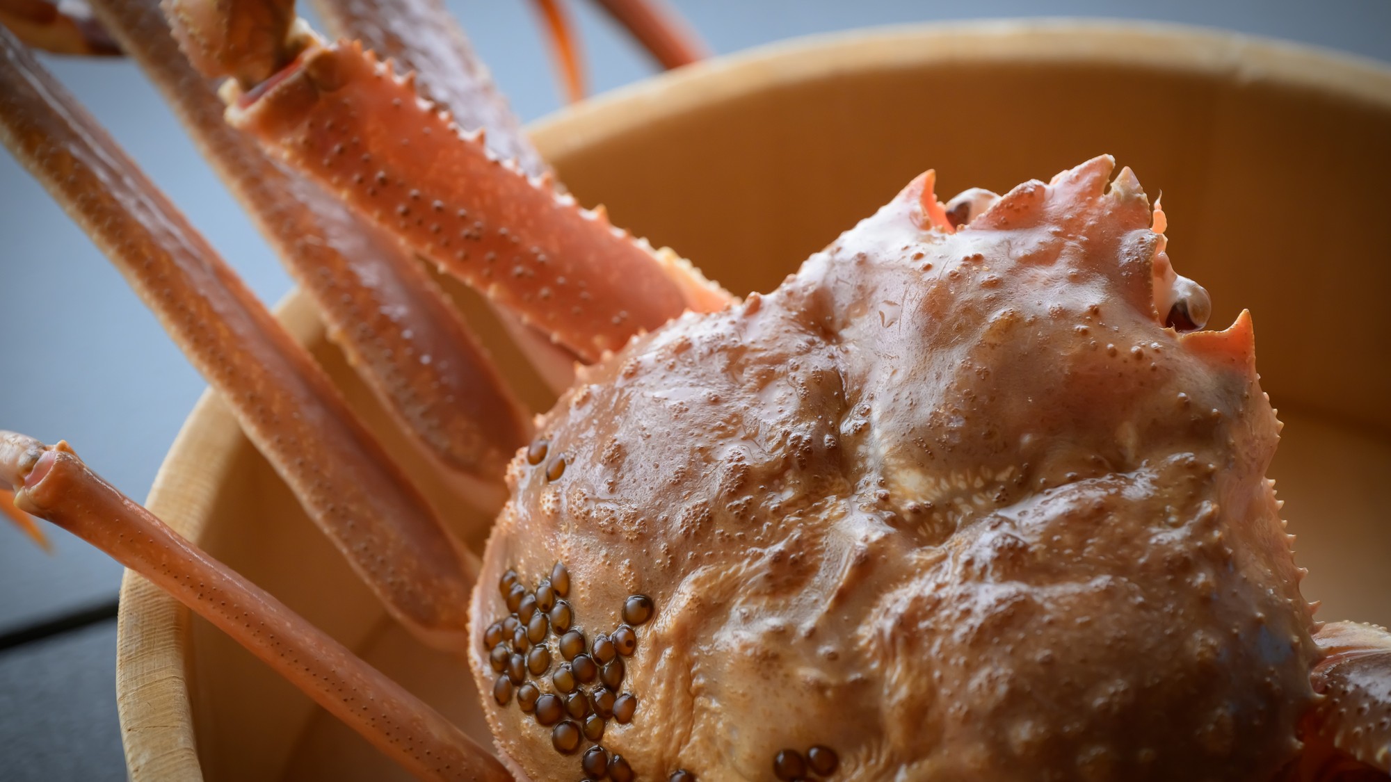 【活蟹】氷見の海の恵み、旨みあふれる活蟹をご堪能ください。