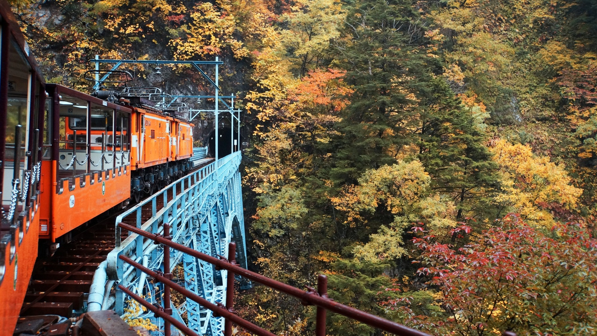 黒部のトロッコ電車では紅葉も楽しめます