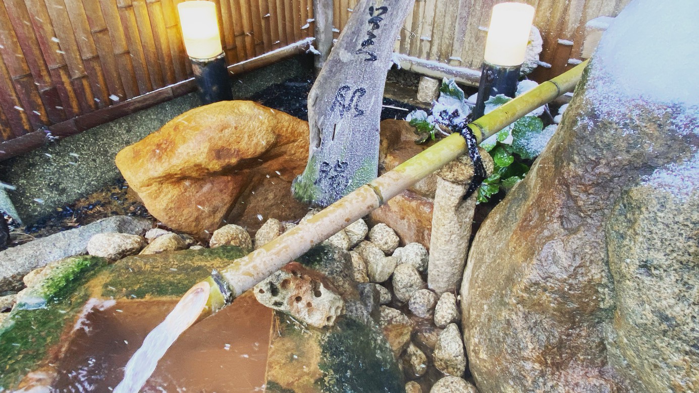 ★北陸かに旅★富山湾の冬の味覚「紅ズワイガニ」まるごと一杯付◇蟹×魚×肉◇欲張りプラン♪