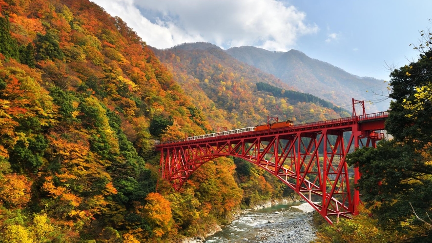 【富山観光】トロッコ電車で行く黒部峡谷