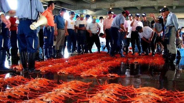 【富山観光】新湊漁港「昼セリ」見学