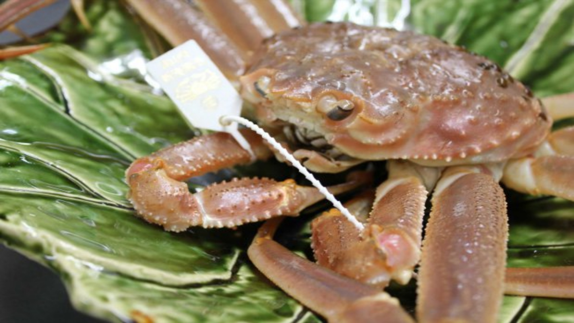 冬の主のおまかせプラン【雄山（OYAMA）】