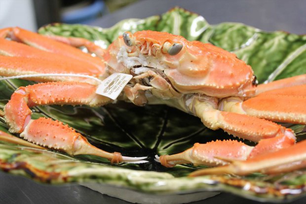 【LUXDAYSセール】  冬の主のおまかせプラン【剱岳（TSURUGIDAKE）】