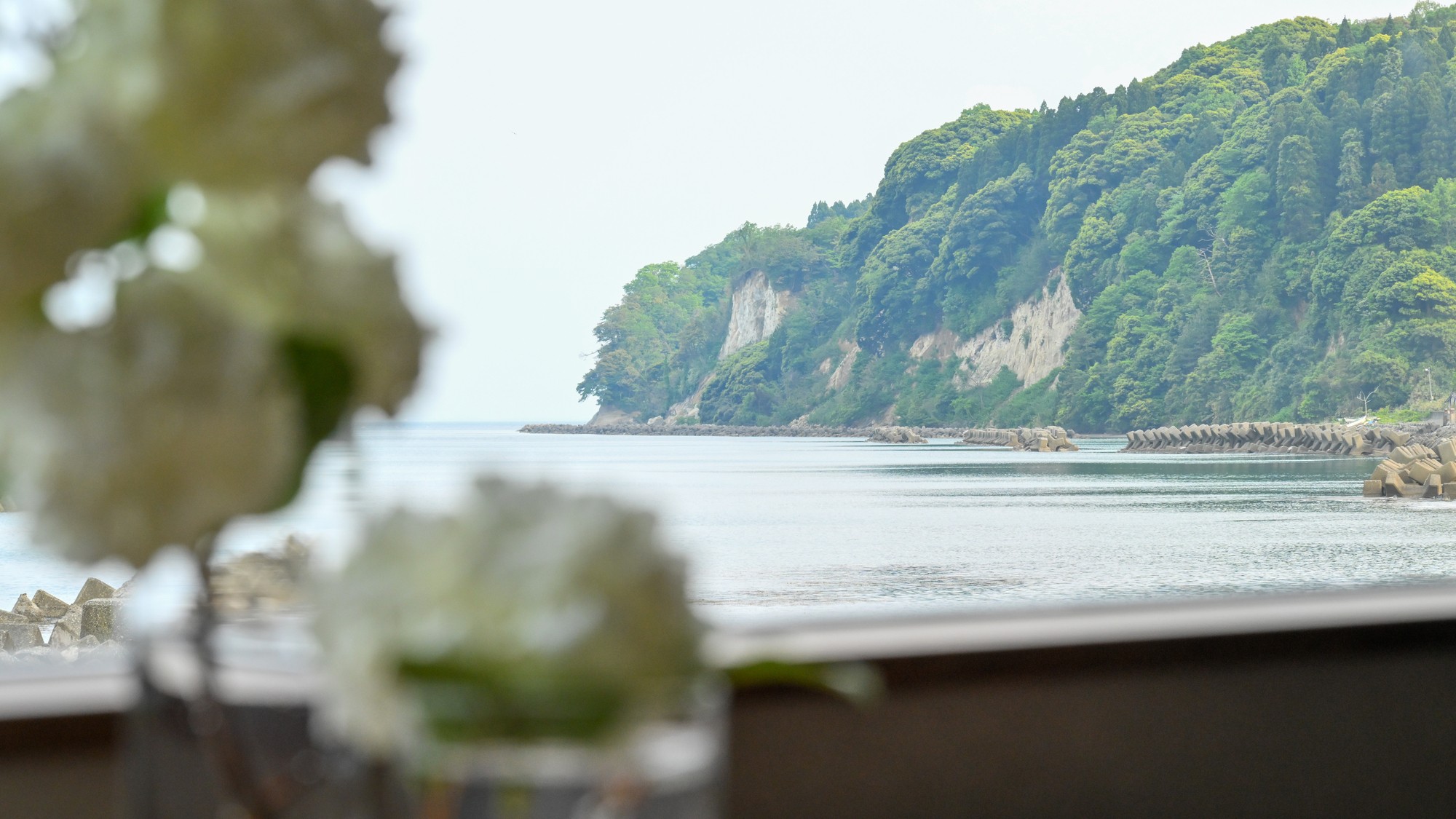 【ダイニング】お食事は朝夕とも１Fの海の見えるダイニングでゆったりと。