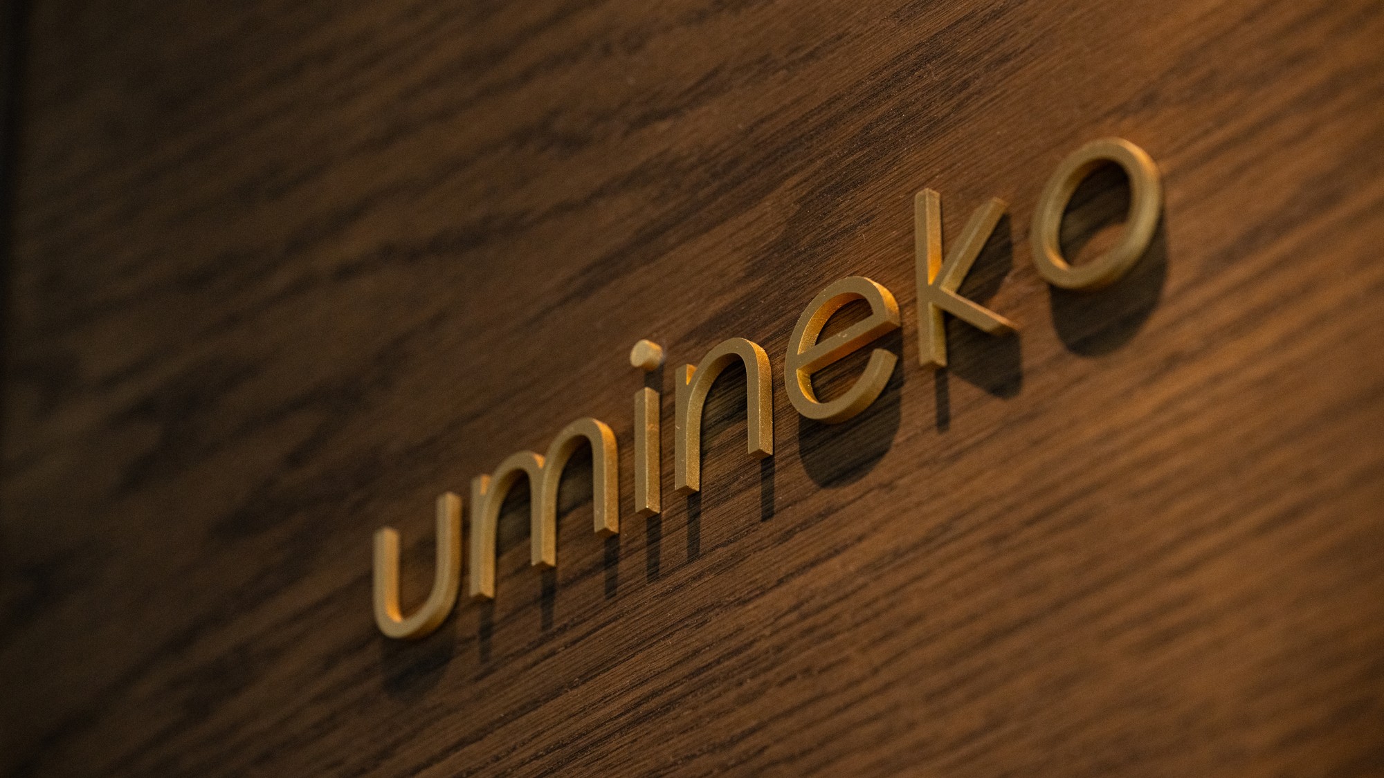 【オーシャンフロントル－ム】umineko-うみねこ-