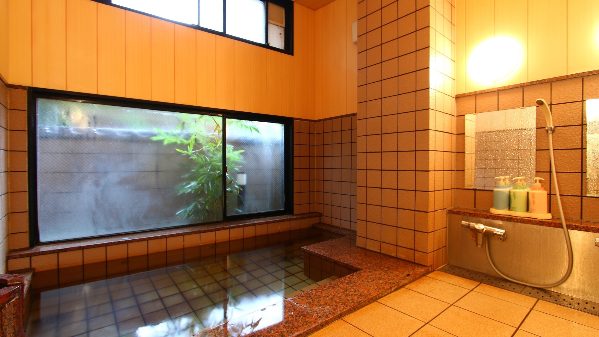 【期間限定】旬の味！＜ホタルイカ料理＞が付いた舟盛りコースでこの時期しか味わえない海の幸を満喫〜