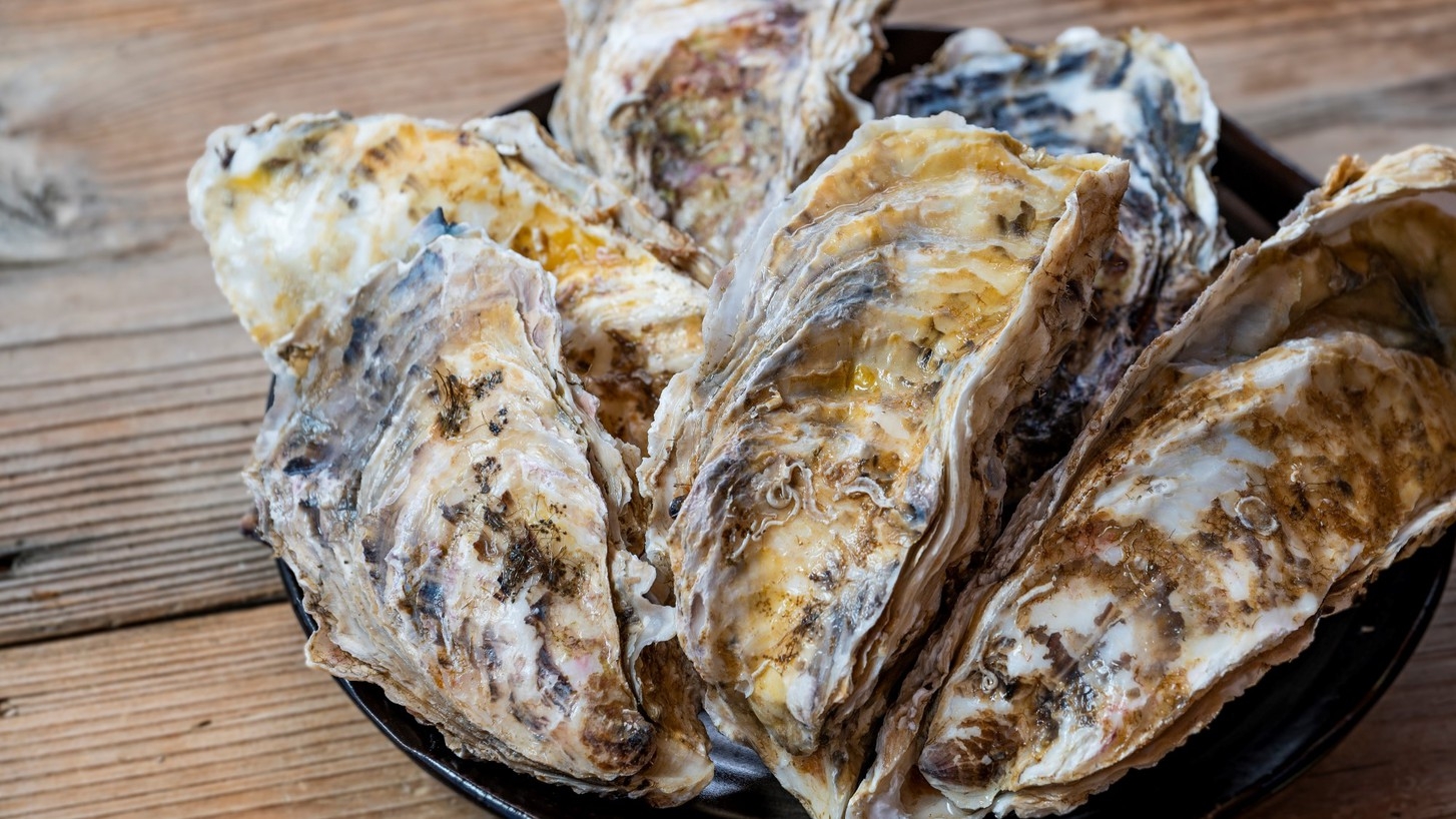 【夏休み★期間限定】海水浴の後は≪岩ガキ料理≫が付いた海の幸コースで旬味覚を味わう♪1泊2食付