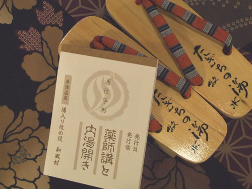 Hot Spring Tour Ticket