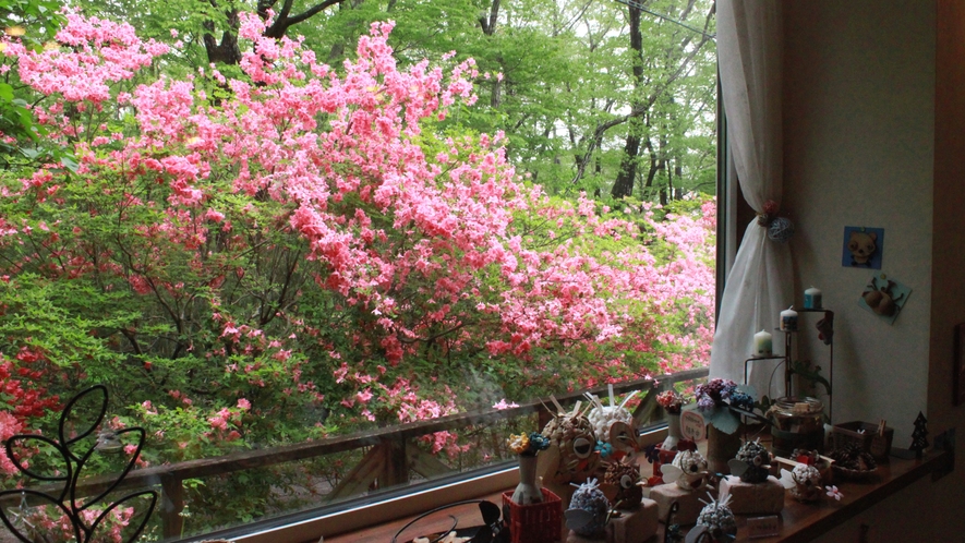 ダイニング＿窓から那須の自然を感じられるダイニング。春は満開のつつじが楽しめます