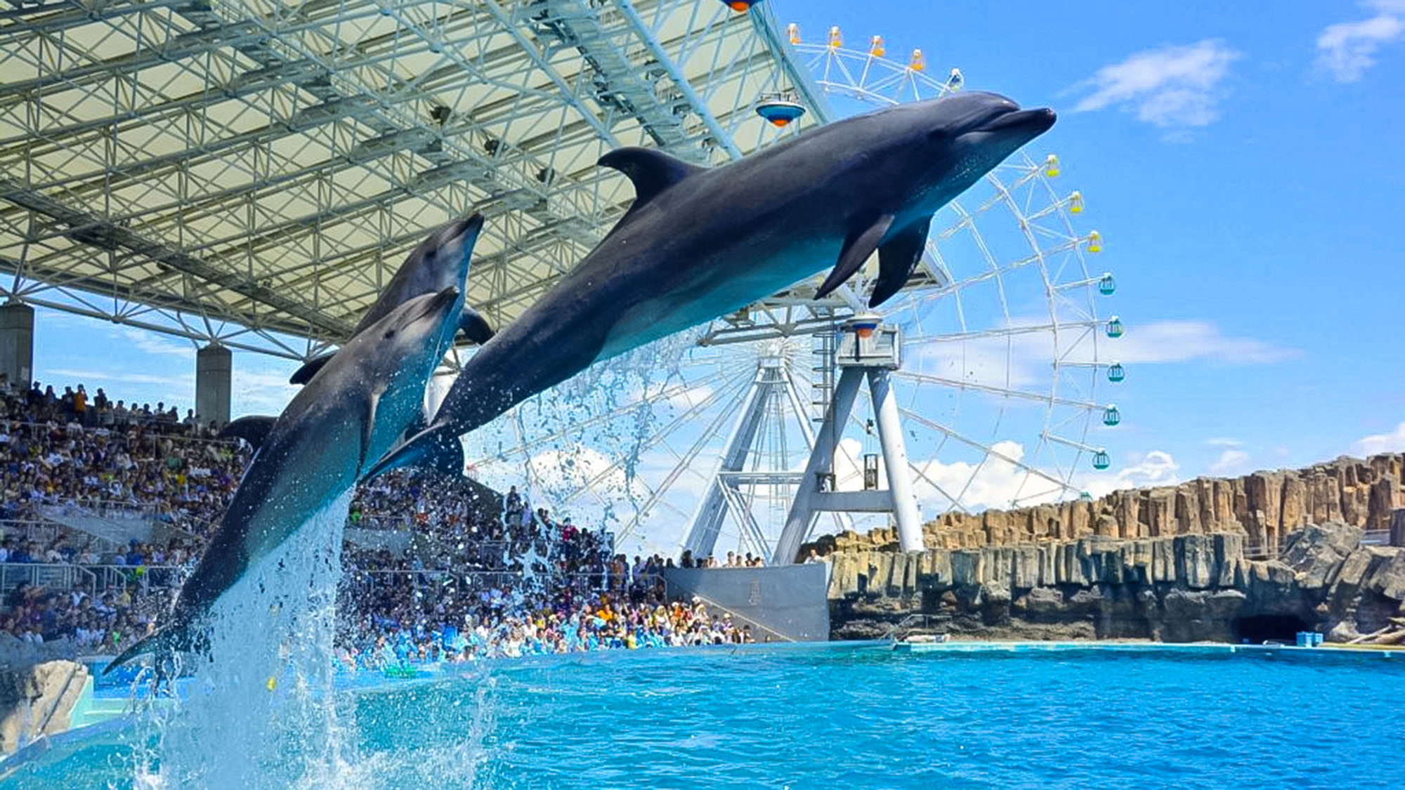 ・名古屋港水族館：海の生き物の生態や進化の秘密を発見できます