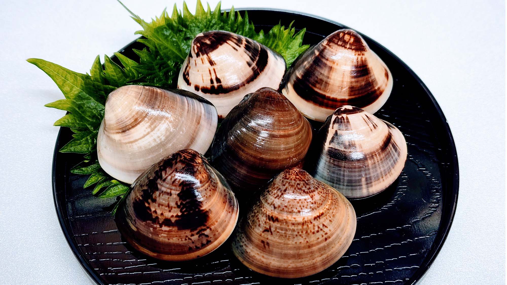 【贅沢三昧】カニもハマグリもヒラメも伊万里牛も！？！？欲張りさんも大満足間違いなし！！【1泊2食】