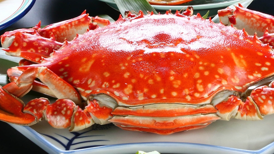 【特選コース】特大サイズの竹崎蟹を茹で、蒸し、焼きの３つで味わい、さらに脱皮蟹の天ぷらを味わうコース