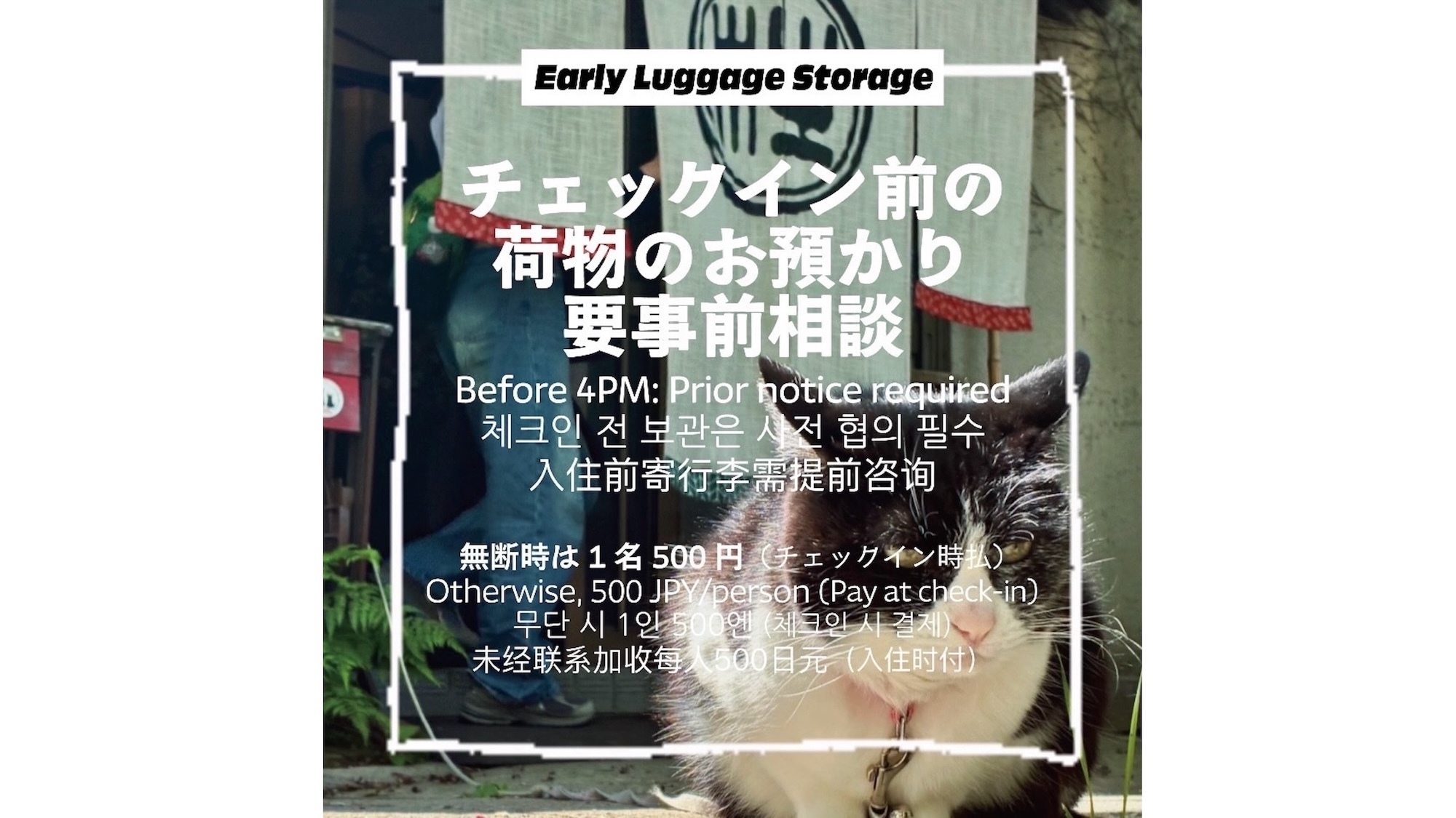 ドミトリープラン【2段ベッド】【素泊まり】【事前決済】